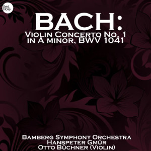ดาวน์โหลดและฟังเพลง Violin Concerto in A minor, BWV 1041: II. Andante พร้อมเนื้อเพลงจาก Hanspeter Gmür