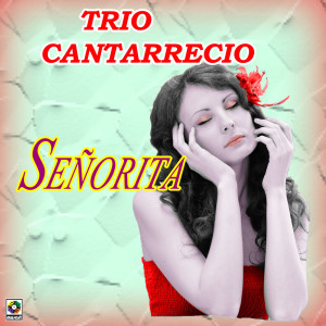 收聽Trio Cantarrecio的Señorita歌詞歌曲