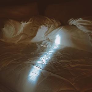 Listen to Vuelo song with lyrics from Gostes