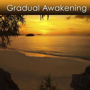 Album Gradual Awakening from Dr. Harry Henshaw