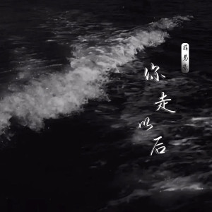 Listen to 你走以后 (伴奏) song with lyrics from 薛易豪