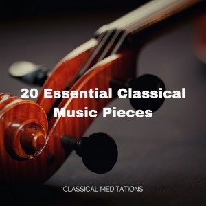 收聽Peter Ilyich Tchaikovsky的Dance of the Sugar Plum Fairy歌詞歌曲