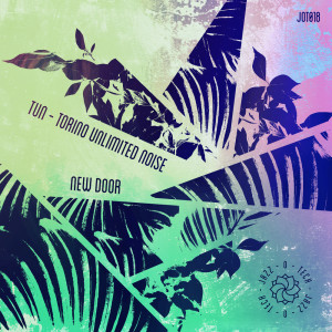 Listen to New Door (Original Mix) song with lyrics from T.U.N - Torino Unlimited Noise