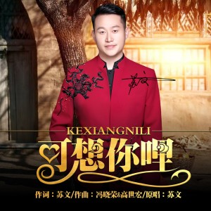 Listen to 可想你哩 (完整版) song with lyrics from 苏文