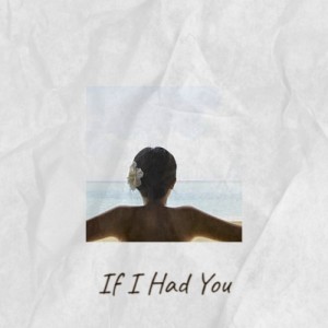 Various Artists的專輯If I Had You (Explicit)