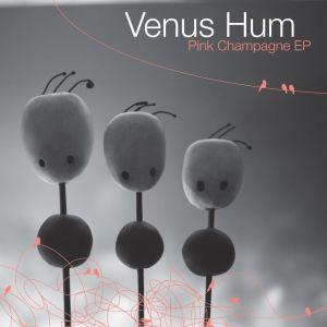收聽Venus Hum的Pink Champagne (Remix)歌詞歌曲