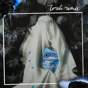 Dengarkan lagu Torch (Remix|Explicit) nyanyian Dakota Cook dengan lirik