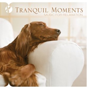 Michael Maxwell的專輯Tranquil Moments