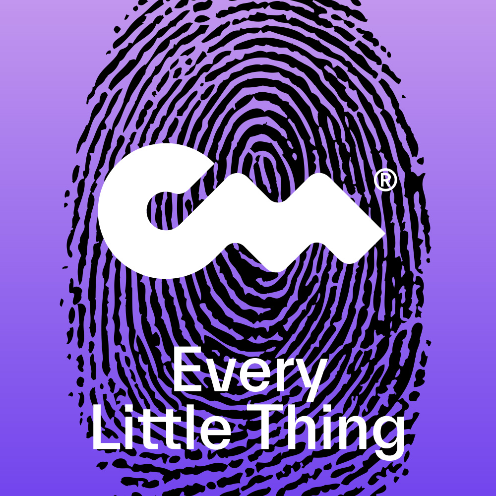 Every Little Thing