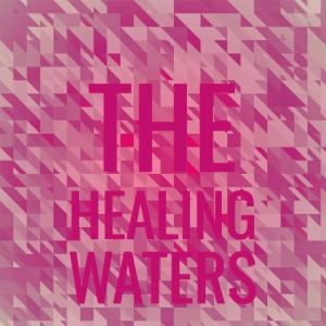 Album The Healing Waters from Silvia Natiello-Spiller