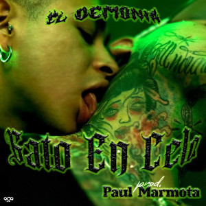 ดาวน์โหลดและฟังเพลง Gato En Celo (Explicit) พร้อมเนื้อเพลงจาก El Demonia