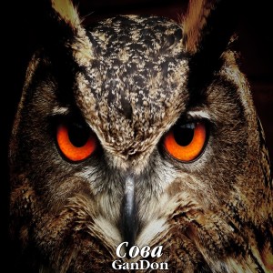 Listen to Сова song with lyrics from Gandon