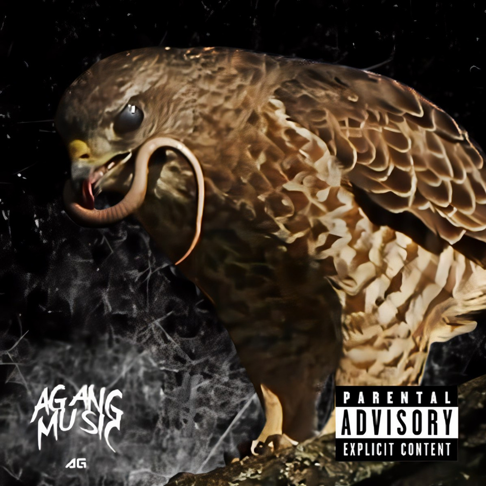 The Warning (Remix|Explicit)