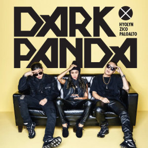 收聽金孝琳的DARK PANDA歌詞歌曲