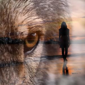 yerbownik的專輯dancing with wolves