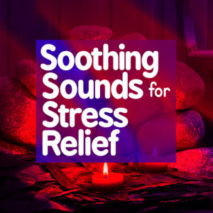 收聽Stress Relief的Step 1歌詞歌曲