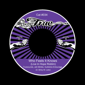 Truesounds的專輯Who Feels It Knows (Live In Hope Riddim)