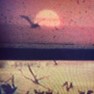 Best of Earth的專輯Dawn Demons