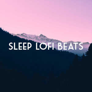 收聽Lofi Sleep Chill & Study的LoFi Guitar & Chill歌詞歌曲