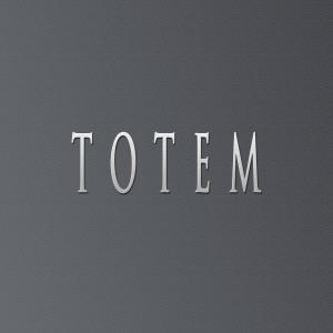 收聽Didker的TOTEM (feat. Eclipse Beats)歌詞歌曲