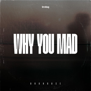 BROHUG的專輯Why You Mad