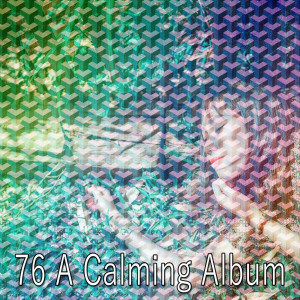 ดาวน์โหลดและฟังเพลง Lucid Resting พร้อมเนื้อเพลงจาก Nature Sounds Nature Music