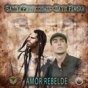 Album Amor Rebelde from David Fendah