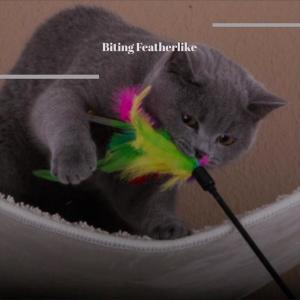 Various的专辑Biting Featherlike