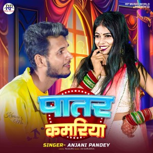 Listen to Patar Kamariya song with lyrics from Anjani Pandey