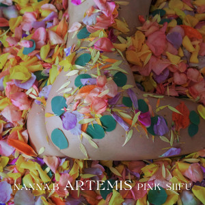 Album Artemis (Explicit) from Pink Siifu