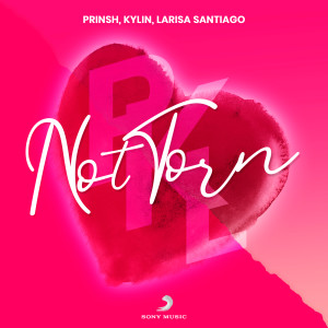 ดาวน์โหลดและฟังเพลง Not Torn พร้อมเนื้อเพลงจาก PRINSH