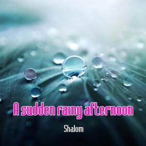 Album A sudden rainy afternoon from Shalom