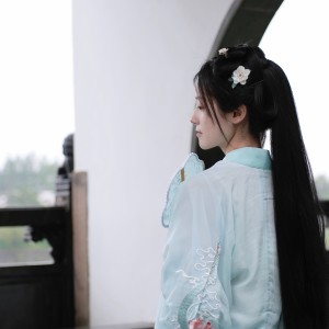 Album 长作岭南仙 from 千陵安浅
