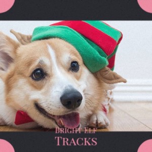 Listen to Joy to the World song with lyrics from Jim Nabors