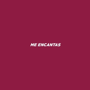 ดาวน์โหลดและฟังเพลง Me Encantas (Explicit) พร้อมเนื้อเพลงจาก Leyruk