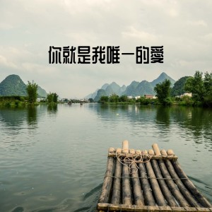 潘美辰的專輯你就是我唯一的愛