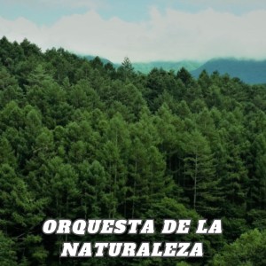 Orquesta de la Naturaleza dari CopyrightLicensing