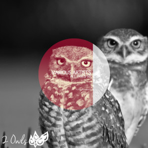 อัลบัม All Owls Six ศิลปิน Various Artists