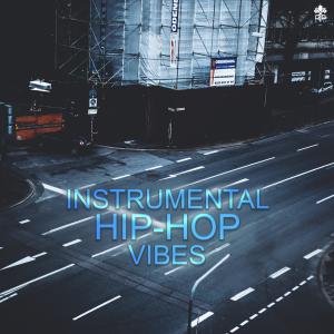 Album Instrumental Hip-Hop Vibes from 