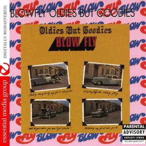 ดาวน์โหลดและฟังเพลง Whole Lotta F**kin' Goin On พร้อมเนื้อเพลงจาก Blowfly