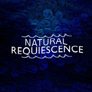 收聽Natural Nature的Riverbank歌詞歌曲