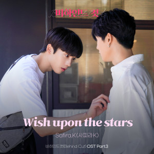 Listen to Wish upon the stars instrumental song with lyrics from Safira.K