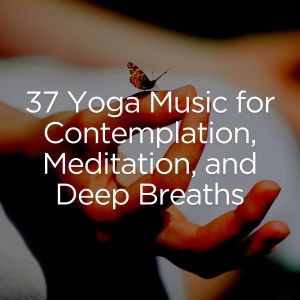 37 Yoga Music for Contemplation, Meditation, and Deep Breaths dari Hatha Yoga Maestro