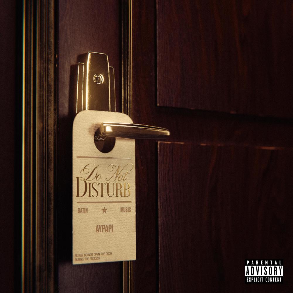 PIRATE (feat. rad cartier) (Explicit)
