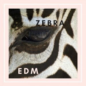 อัลบัม ZEBRA EDM ศิลปิน Various Artists