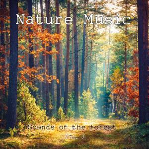 Nature Music的專輯Sounds Of The Forest, Vol. 3