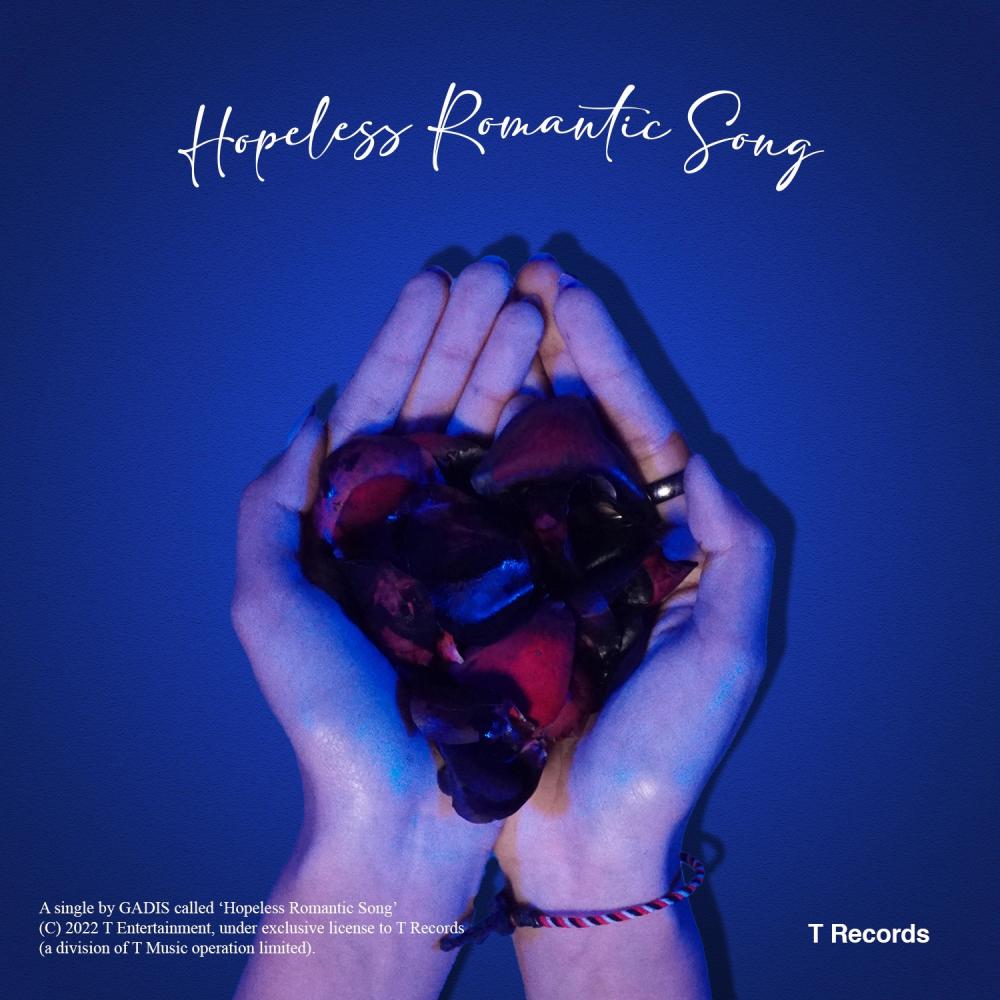 Hopeless Romantic Song