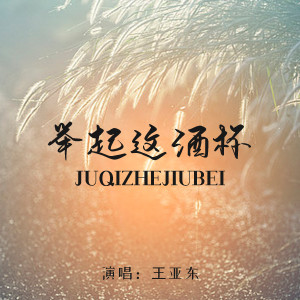 ดาวน์โหลดและฟังเพลง 举起这酒杯 (Live合唱版伴奏) พร้อมเนื้อเพลงจาก 王亚东