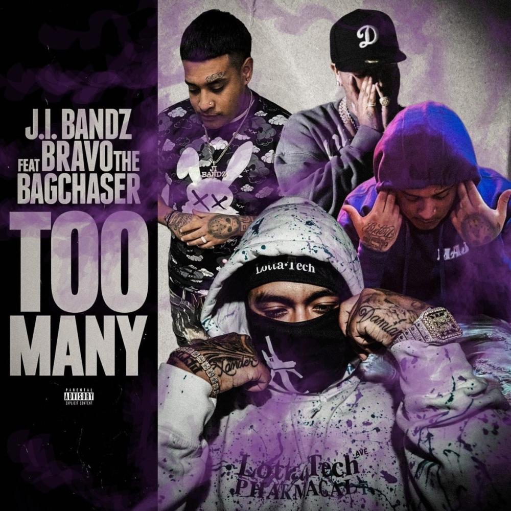 Too Many (feat. BravoTheBagChaser) (Explicit)