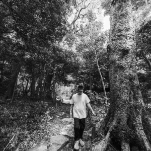 Dengarkan ornamental fish lagu dari Gremlin dengan lirik